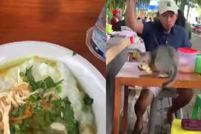Apes! Bubur Ayam Pria Ini Dibegal Kucing, Netizen Ikut Kesel: Rusuh Banget