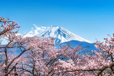 Ingin Dapat Visa Waiver Jepang? Berikut Syaratnya