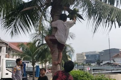 Perjuangan Bocah Pemulung Cita-cita Jadi Tentara, Kumpulkan Botol Plastik Demi Sekolah