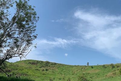 Bogor Punya Savana yang Mirip Banget Kayak di Luar Negeri! Pecinta Hiking Wajib ke Sini!