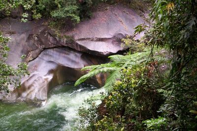 Kolam Iblis di Australia, Wisata Ekstem yang Memakan Korban Jiwa