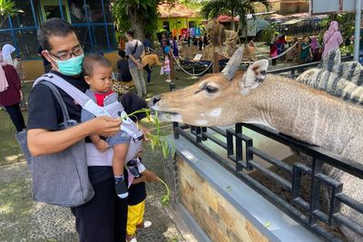 Cuma Bayar Rp15 Ribu, Madiun Umbul Square Tawarkan Wisata ala Taman Safari Versi Mini