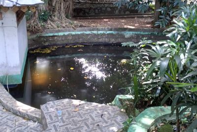 Misteri Tujuh Sumur Magis Dekat Kampus UI Depok, Konon Bisa Melancarkan Rezeki