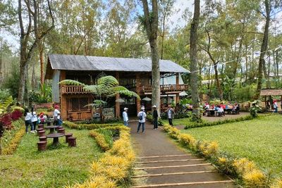 Buka 24 Jam! Omah Stroberi 2627, Tempat Healing di Tengah Hutan Pinus
