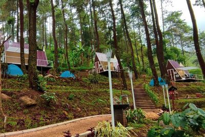 Locca Lodge, Camping ala Sultan di Mojokerto Bertabur Fasilitas Penuh Kemewahan
