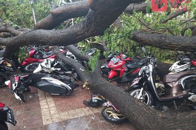 Kondisi 5 Polisi yang Tertimpa Pohon di Balai Kota DKI Jakarta, Ada yang Patah Tulang