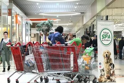 Asosiasi Perlindungan Hewan Prancis Punya Cara Kreatif Galang Donasi, Seperti Apa?