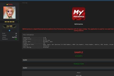 Bjorka Kembali Beraksi! Kali Ini Bocorkan 44 Juta Data MyPertamina