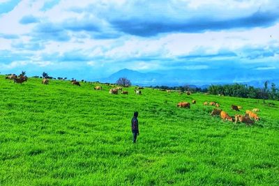 Padang Mangateh: New Zealand-nya Indonesia Ada di Sumatera Barat, View-nya Bikin Takjub
