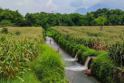 Seru Abis! Mojokerto Punya Prosotan Panjangnya 200 Meter, Mandi di Sini Berasa Nostalgia