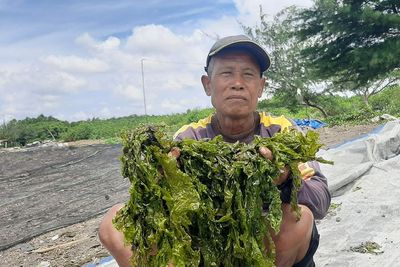 Raup Cuan Hingga Rp5 Juta Seminggu, Nelayan dan Buruh Tani di Situbondo Beralih Profesi