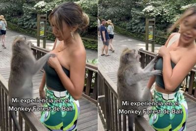 Liburan di Bali, Kemben Mantan Miss Peru Ini Malah Dipeloroti Monyet