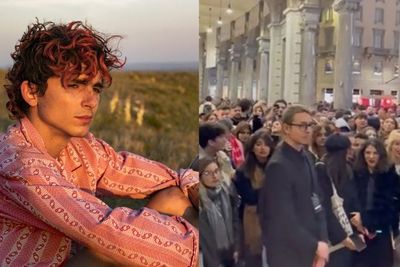 Red Carpet Premiere Bones and All Ditutup Gara-Gara Fans Timothee Chalamet Membludak