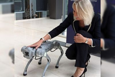 Keren! Robot Anjing Ini Bisa Hentikan Penyelundupan Narkoba di Penjara