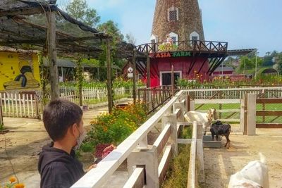 Game Bertema Peternakan Hay Day Ada di Dunia Nyata, Bergaya Eropa dan Banyak Hewan Gemoy