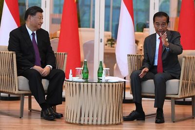 Saat Presiden Jokowi Sebut Xi Jinping Kakak Besar