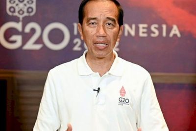 Dana Hibah USD 600 Miliar Bisa Dorong dan Percepat Transisi Energi di Tanah Air