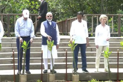 Presiden Jokowi Ajak Delegasi KTT G20 Tanam Mangrove di Bali