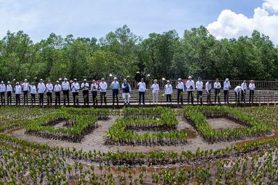 Diplomasi Mangrove ala Presiden Jokowi di Hari Kedua KTT G20