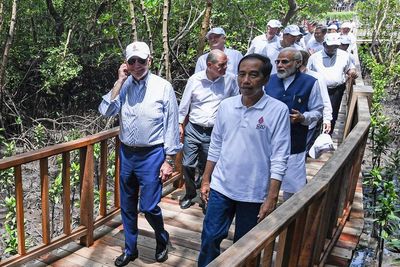 Joe Biden Kaget Lihat Hutan Mangrove di Bali, Kontribusi RI Soal Perubahan Iklim