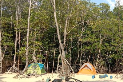 Dulunya Tempat Sampah, Kampung Tua Bakau Serip Kini Jadi Desa Terbersih se-Indonesia