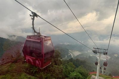 Keren! Naik Kereta Gantung Ini Bisa Lihat Hutan Berumur 130 Juta Tahun