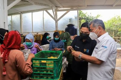 Menteri BUMN Apresiasi Kinerja Holding Ultra Mikro Dongkrak Inklusi Keuangan