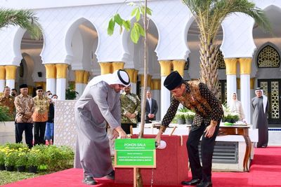 Ada Makna Tersembunyi di Balik Pohon Sala yang Ditanam Jokowi di Masjid Sheikh Zayed Solo
