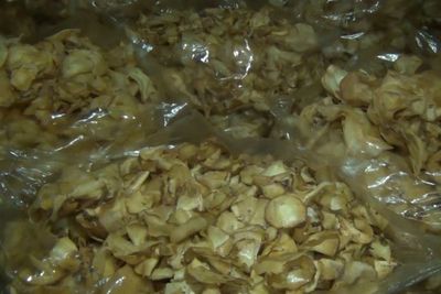 Baru Tahu! Ternyata Keripik Setan di Indonesia Berasal dari Kampung Keripik Ini
