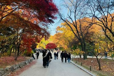 Musim Gugur di Changdeokgung Palace Korea, Secret Garden-nya Bikin Susah Move On!