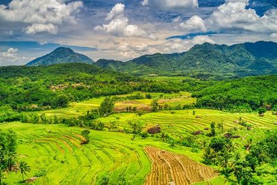 10 Contoh Puisi Pendek Tentang Keindahan Alam, 2 dan 4 Bait!