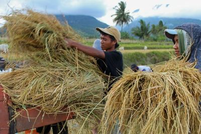 Pemerintah Optimis Inflasi Pangan Terkendali Jelang Nataru 2023