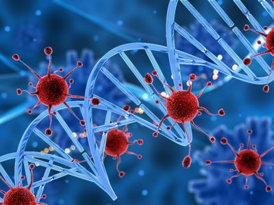 Ancaman Baru! Ilmuwan Temukan 5 Virus Mirip COVID-19 pada Kelelawar di China