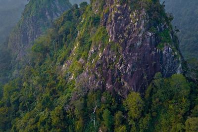 Sudah Tahu Sanggabuana? Gunung Mistis di Karawang yang Punya Makam di Puncaknya