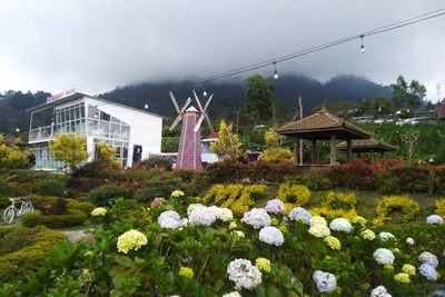 Merapi Garden, Taman Bunga di Boyolali yang Berada di Sela-sela 2 Gunung, View-nya Memukau