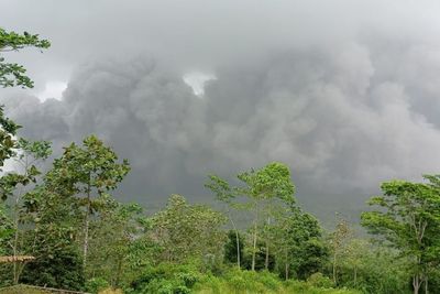 Terus Keluarkan Awan Panas, Status Gunung Semeru Naik ke Level IV Jadi Awas