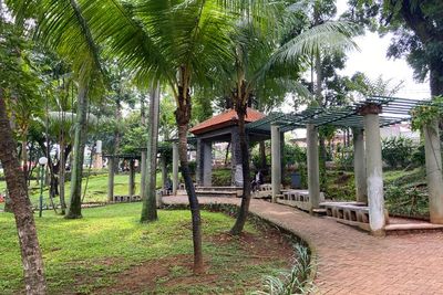 Aneh! Jadi Sarang Kuntilanak, Taman Langsat Malah Jadi Tempat Healing Favorit Anak Jaksel