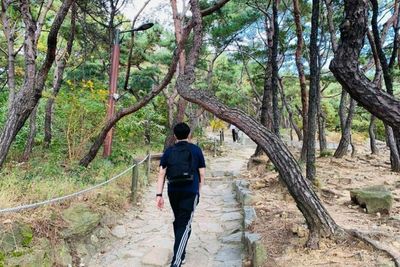 Achasan Mountain Pernah Jadi Tempat Syuting BTS, Spot Terbaik Rayakan Tahun Baru
