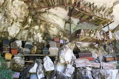 Uji Nyali di Gua Londa Toraja Utara, Kuburan Tinggi Penuh Tengkorak dan Peti Mati
