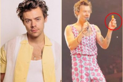 Dilempar Nugget saat Konser, Harry Styles Malah Dapat Penghargaan dari PETA, Kok Bisa?
