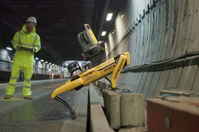 Robot Anjing Jadi Karyawan di Bandara Heathrow London: Namanya Dave