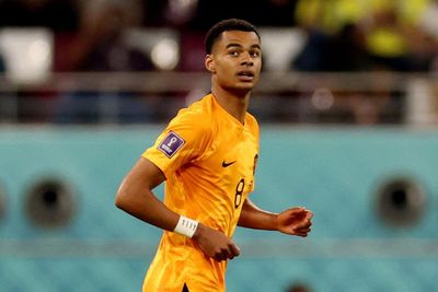 Kalau Manchester United Mau Kasih Tawaran, Cody Gakpo Bisa Pertimbangkan