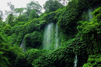 4 Mitos Air Terjun Benang Kelambu, Konon Tempat Pemandian Ratu Penguasa Gunung Rinjani