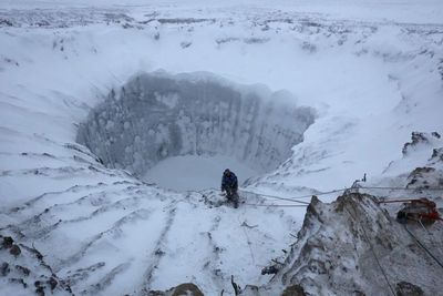 Bikin Heboh, Berikut Fakta-Fakta Virus Zombie yang Ditemukan di Siberia