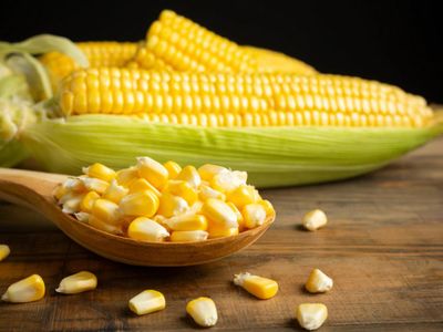 Disangka Mahal, TikTokers Ini Dibikin Kaget sama Jagung Rp4 Ribuan di Restoran Mewah
