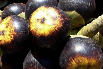 Viral di Kalangan Kreator TikTok dan Artis, Ini 5 Khasiat Luar Biasa Buah Lontar