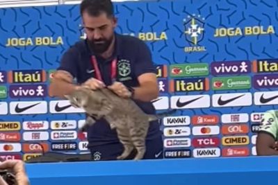 Timnas Brasil Kalah Lawan Krosia, Warganet: Azab Lempar Kucing
