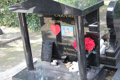Le Cimetière des Chiens: Kuburan Hewan Tertua di Dunia, Pusaranya Cantik bak Makam Manusia