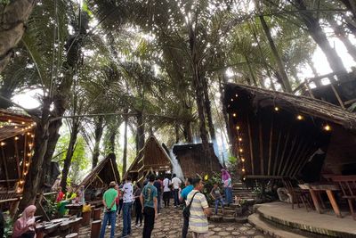 Melihat Penyulingan Minuman Khas di Tuur Ma asering Tomohon, Vibesnya Hutan Aren nan Sejuk
