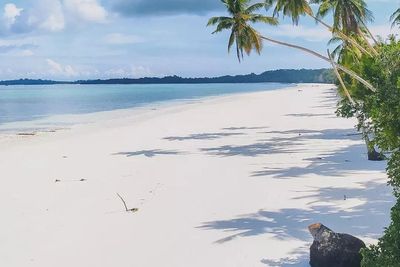 Pesona Pantai Ngurbloat Maluku Tenggara, Punya Pasir Terhalus di Dunia
